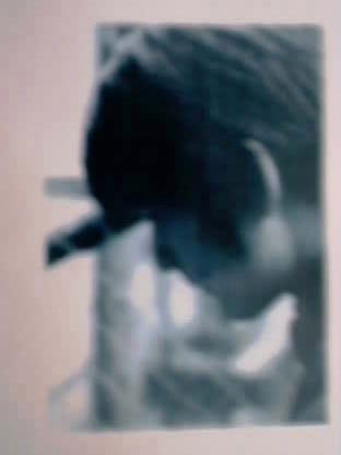 ���\���ʐ^�i�R�c�N�̎B�������̎ʐ^�j�g��